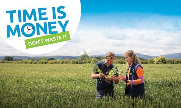 Two people examining crops in a field